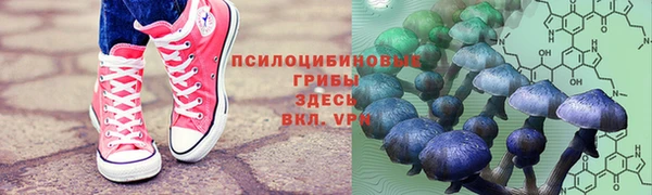 дурь Володарск