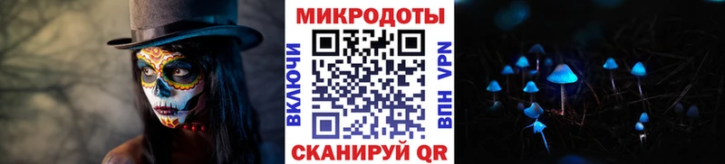 kraken tor  Осинники  Галлюциногенные грибы мицелий  дарнет шоп 