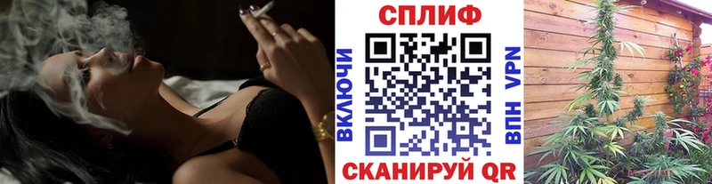 закладка  Осинники  Бошки Шишки ГИДРОПОН 